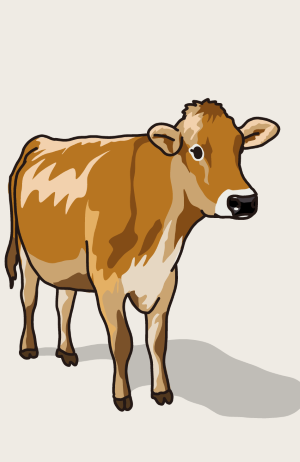 ree