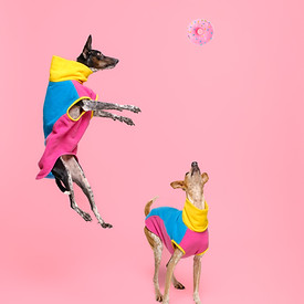 CharlieSV--8.jpg