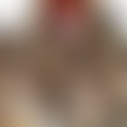 Operation Neptune Spear | Military Spotlight #1