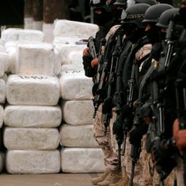 The Illegal Drug Trade | ISSUE #4 / APR 2022