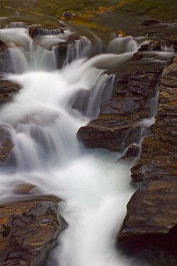 Vert Water Pic