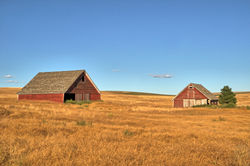 Two Red Barns Spot Removal & Neat Image NR
