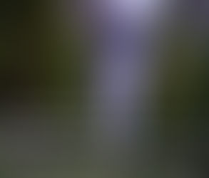 Monday, March 10 || THE HIGH COST OF FORGIVENESS