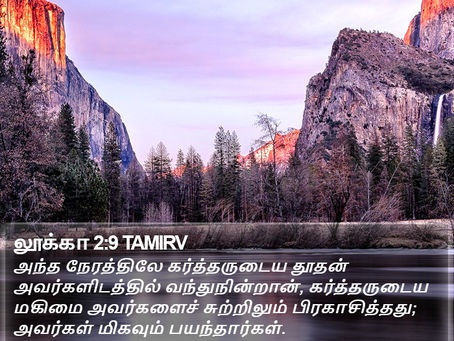 திங்கள், டிசம்பர் 23 || தெளிதேன் துளிகள்