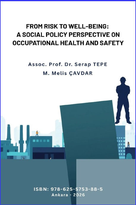 FROM RISK TO WELL-BEING:  A SOCIAL POLICY PERSPECTIVE ON OCCUPATIONAL HEALTH AND SAFETY