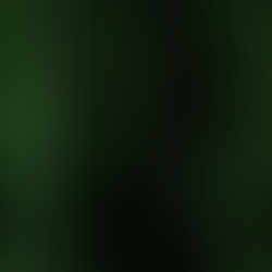 How Much Data Does AI Need?