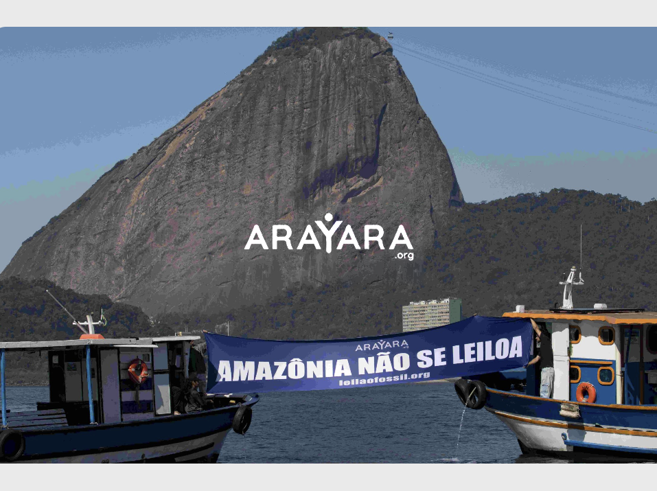 Instituto Internacional Arayara
