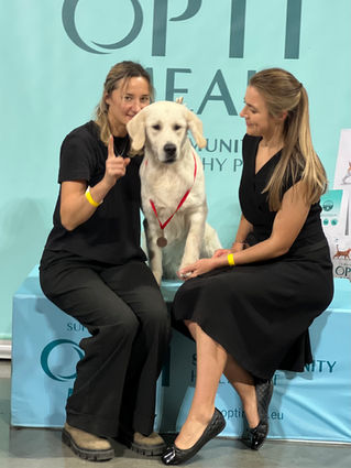 NDS Panevėžys 2025-10-19