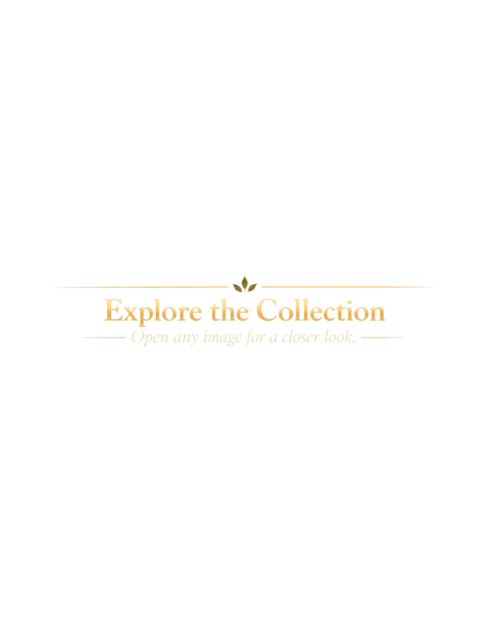 Creatures mid section graphic.png