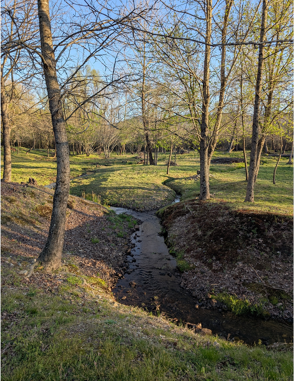 Creek