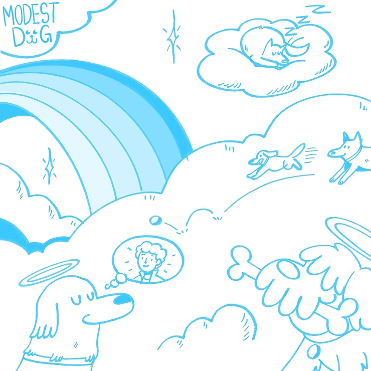 Descubre qué hacer cuando muere tu mascota, los primeros pasos a seguir y las opciones de cremación e incineración en México con acompañamiento humano. Modest Dog.