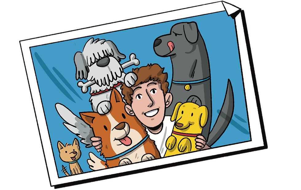 Cremación para gatos con respeto, amor y profesionalismo. En Modest Dog ofrecemos un adiós digno, servicios certificados y atención 24/7