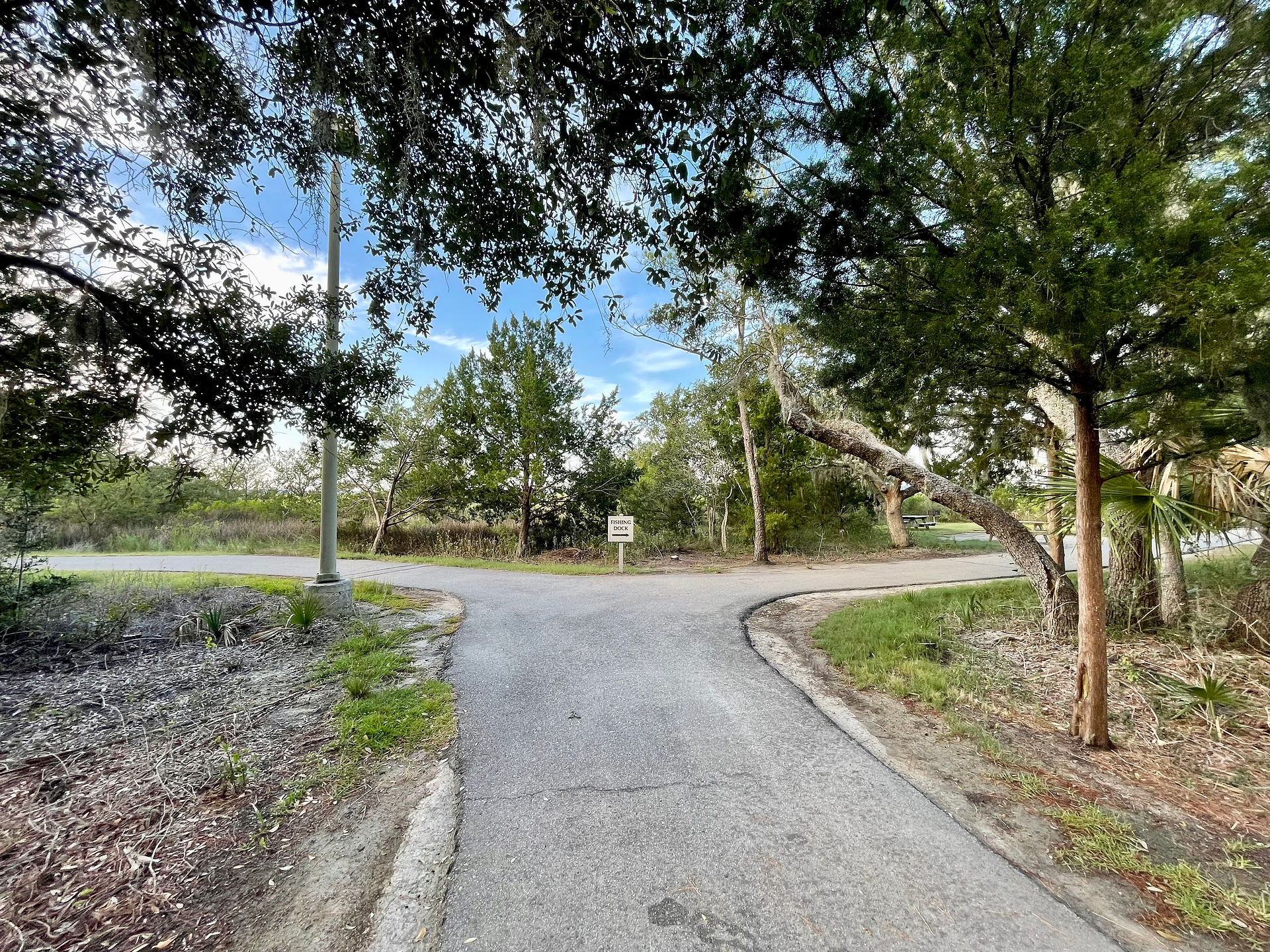 Trail to Fishing Dock