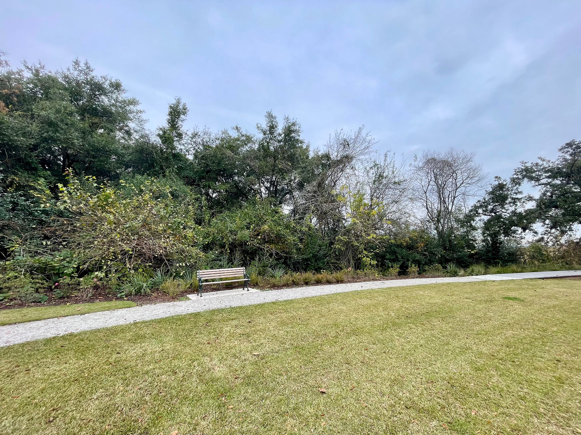 Wooded edge habitat
