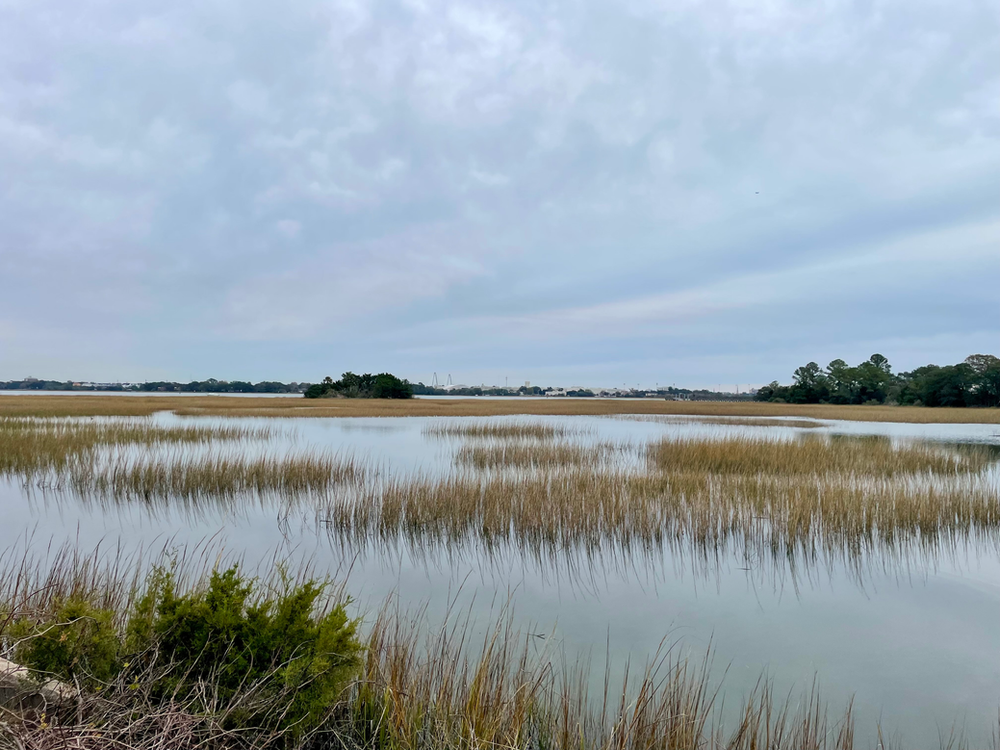 Tidal Marsh at high tide