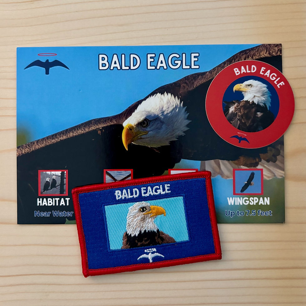 Thumbnail: Bald Eagle Bird Patch Gift Set