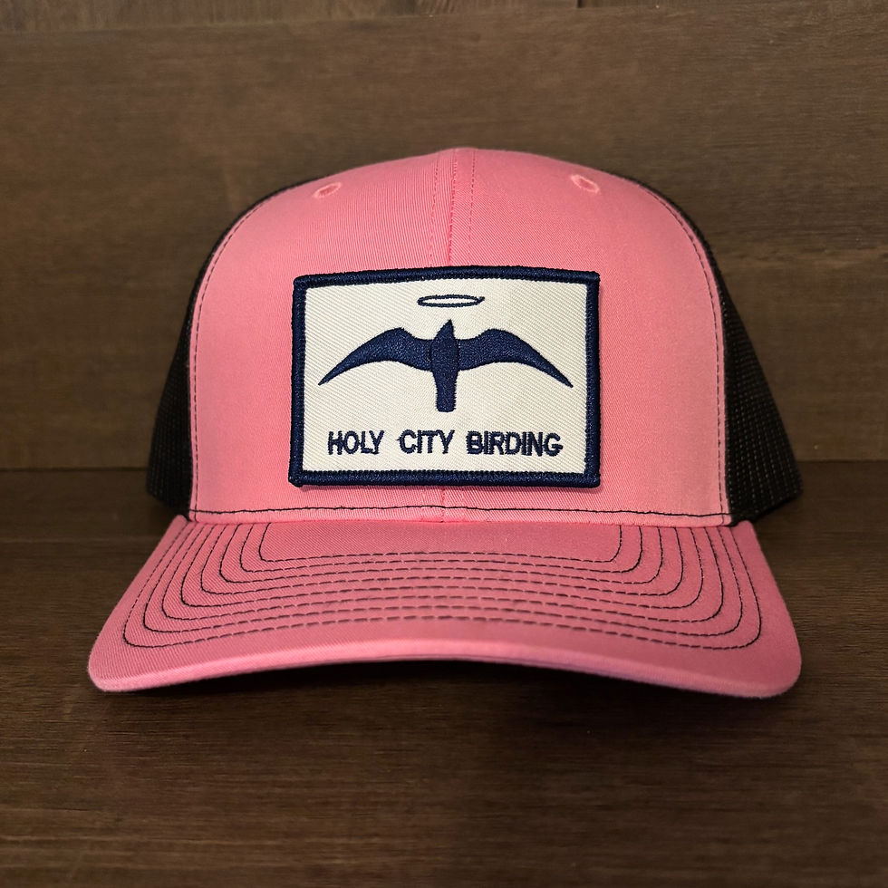 Thumbnail: Pink/Black Bird Patch Hat (Richardson 112)