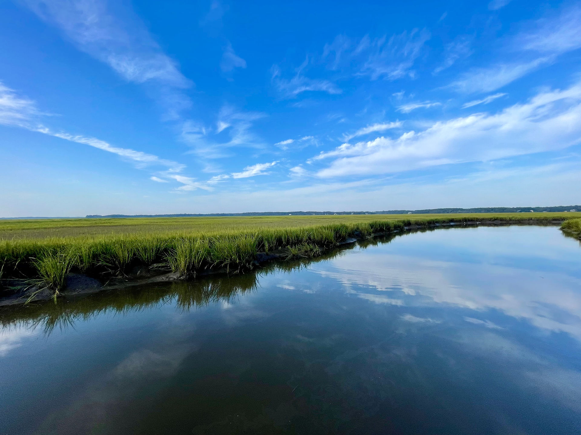 Tidal Creek