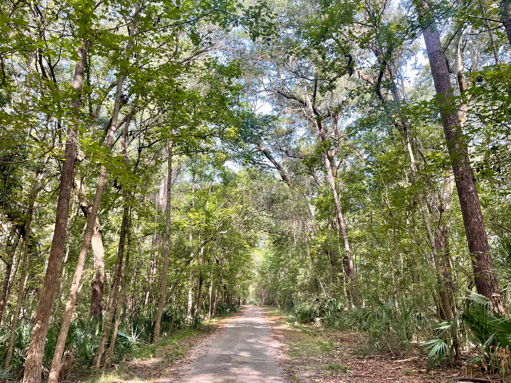 Park Trail Park Trail