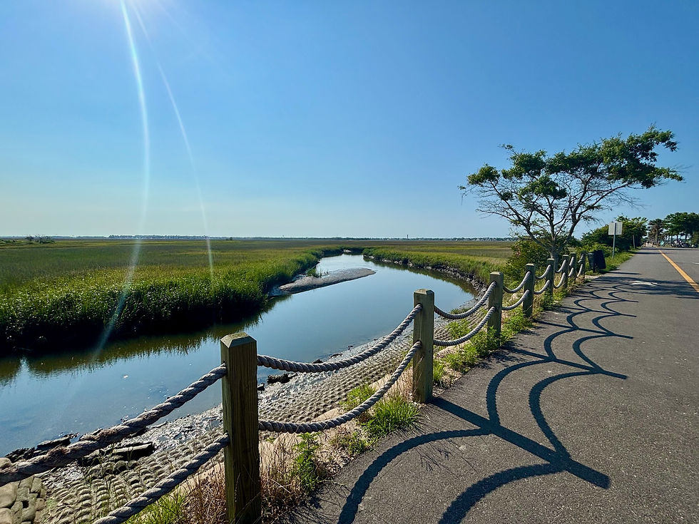 Tidal creek view from Pitt Street Bridge