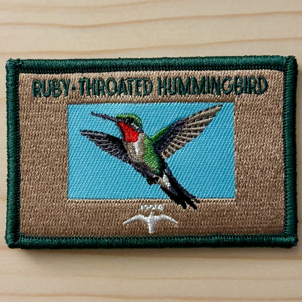 Thumbnail: Ruby-throated Hummingbird Bird Patch