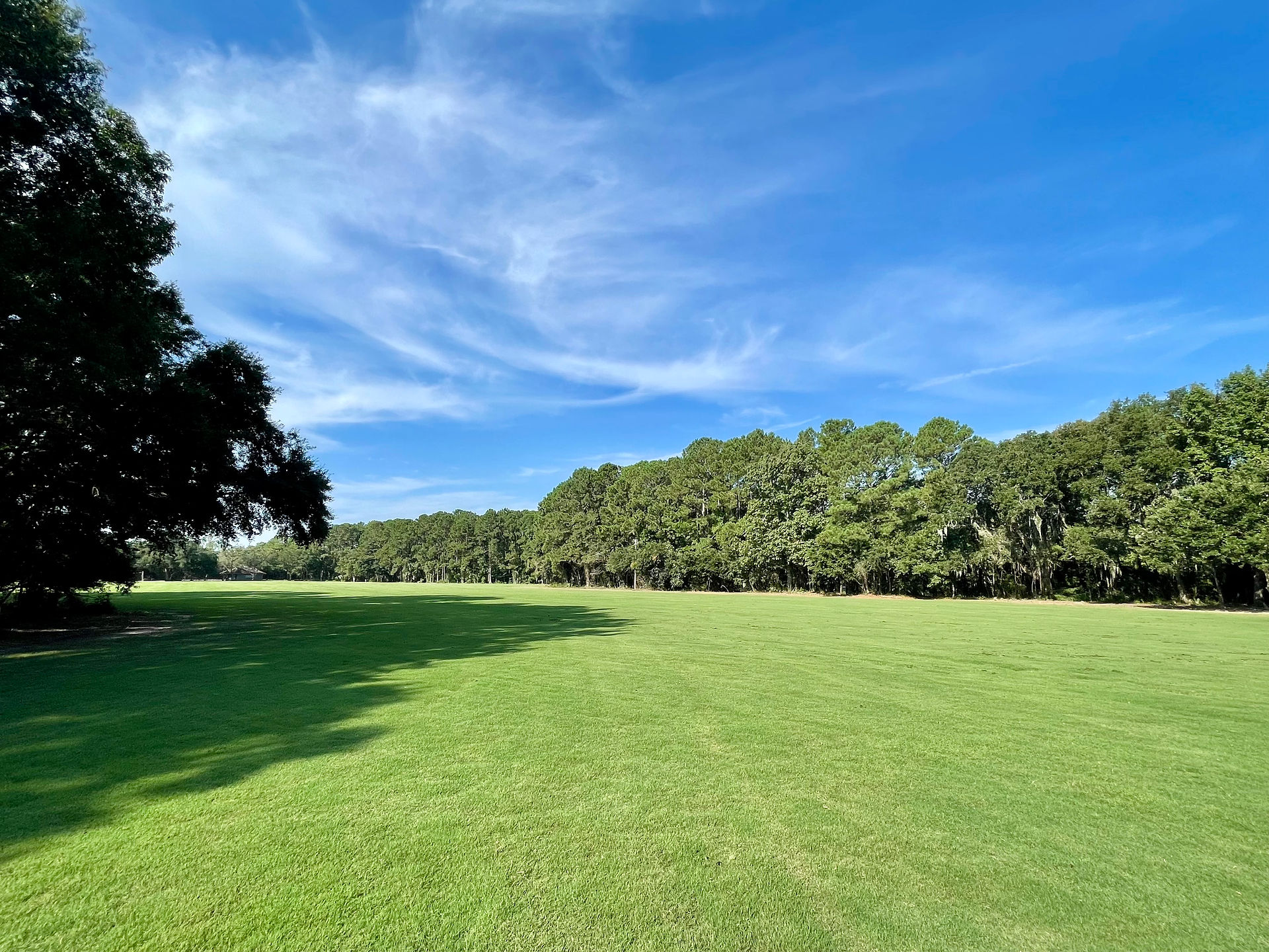 Open field