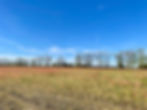 Farmland in Elloree, SC