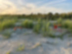 Loggerhead Sea Turtle Nests