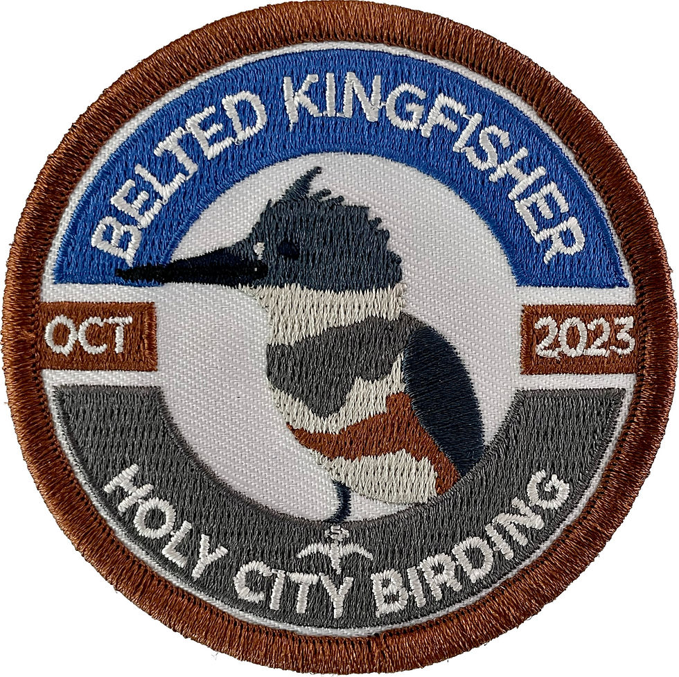 Belted Kingfisher patch 