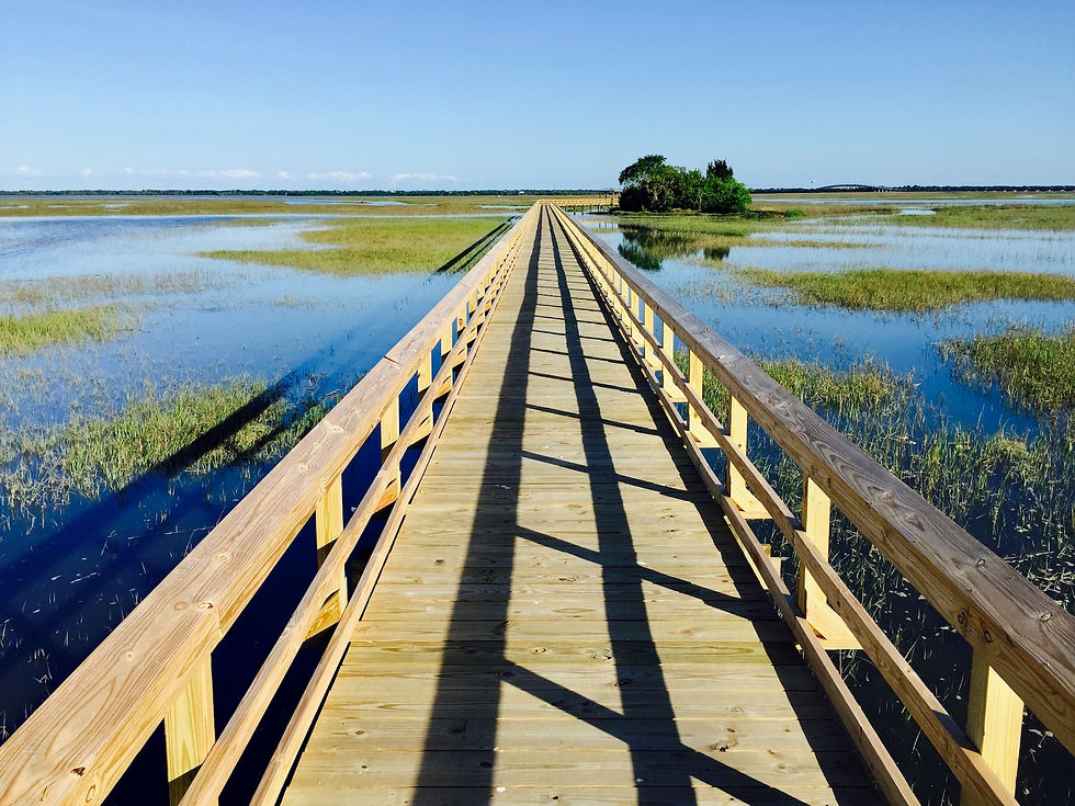Boardwalk overlooking the salt marsh in Oyster Point, Mount Pleasant, South Carolina.