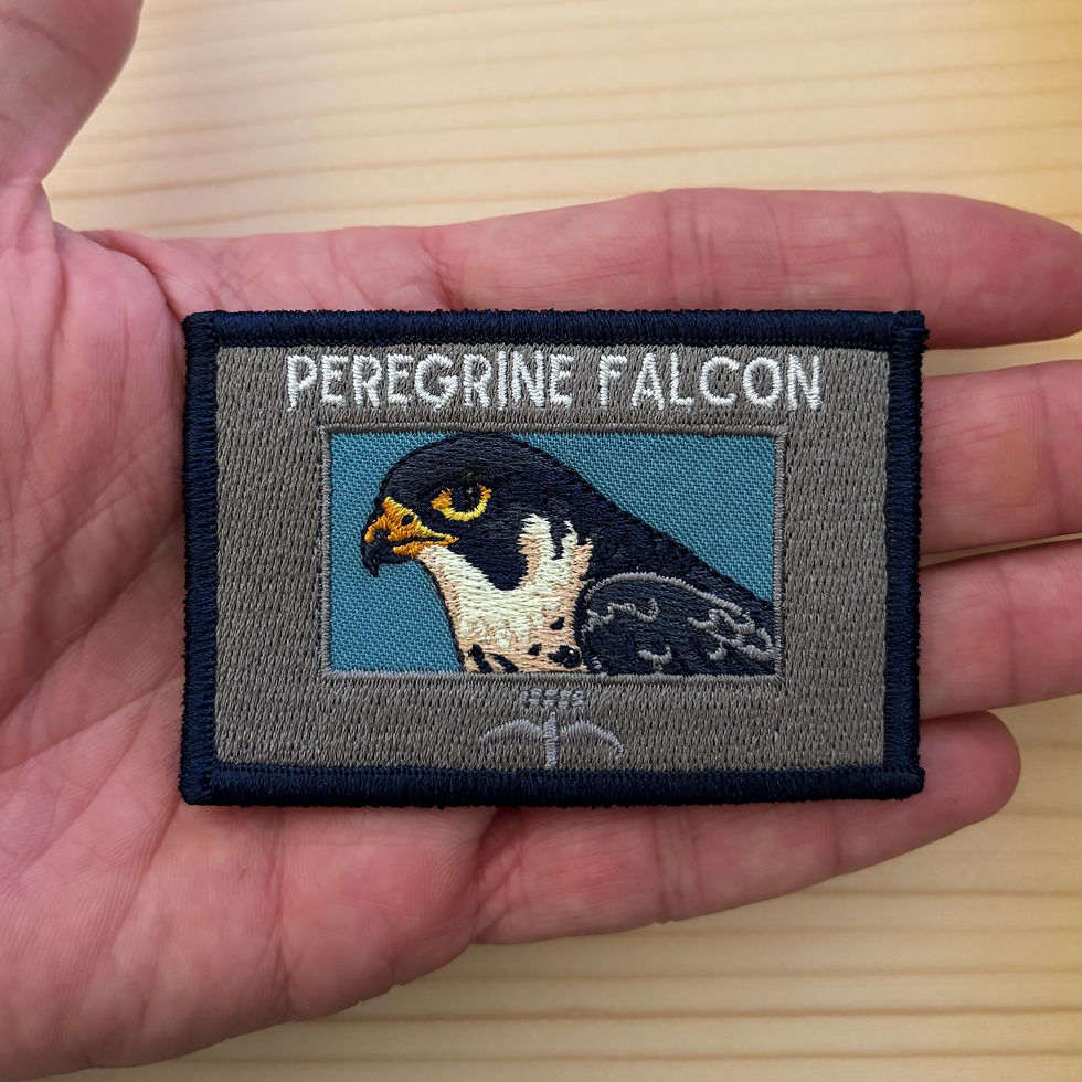 Thumbnail: Peregrine Falcon Bird Patch