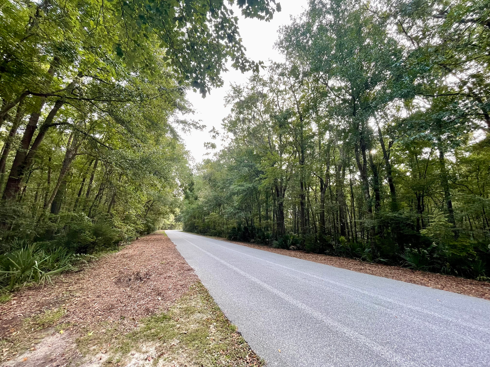 Road through Park Road through Park