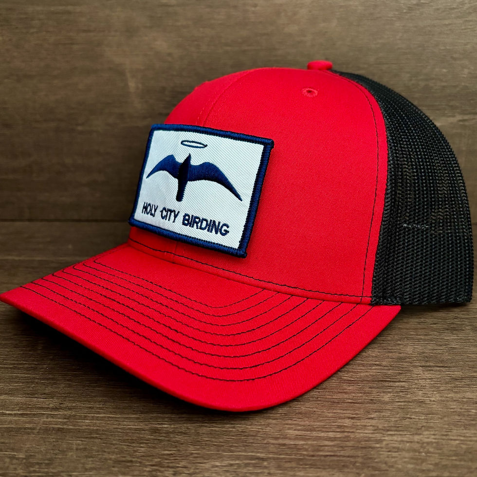 Thumbnail: Custom Bird Patch Hat Starter Kit (3 Patches Included)