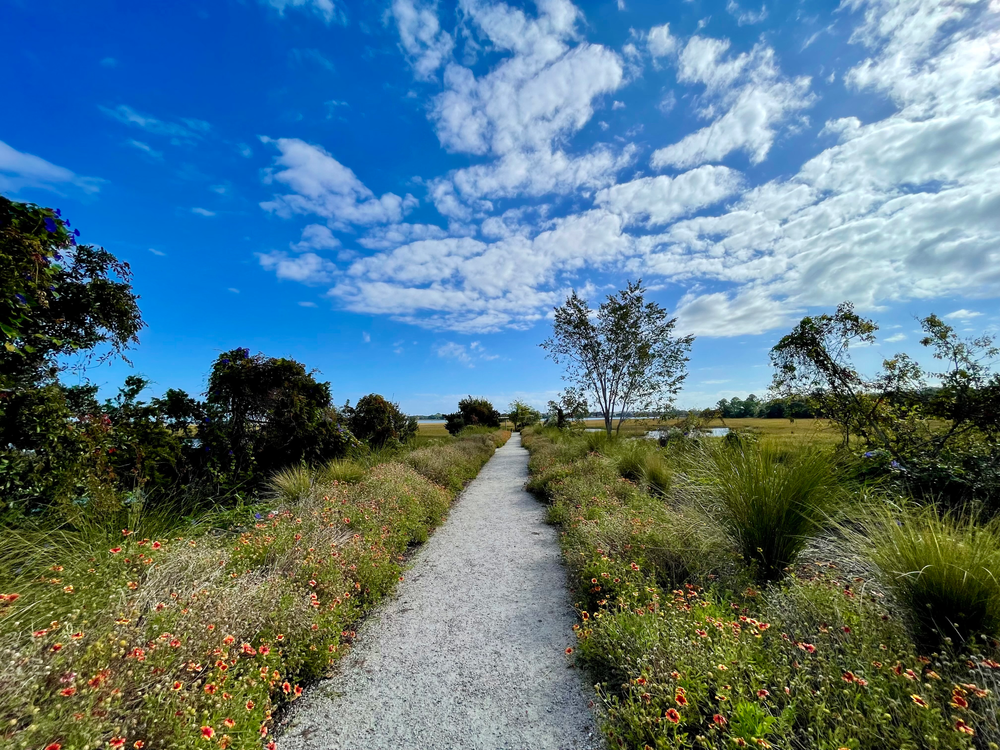 Beautiful pathway to tidal marsh views