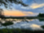 Pitt Street Bridge