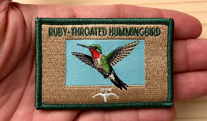 Ruby-throated Hummingbird Patch2.jpeg