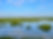 IMG_9316_edited.jpg