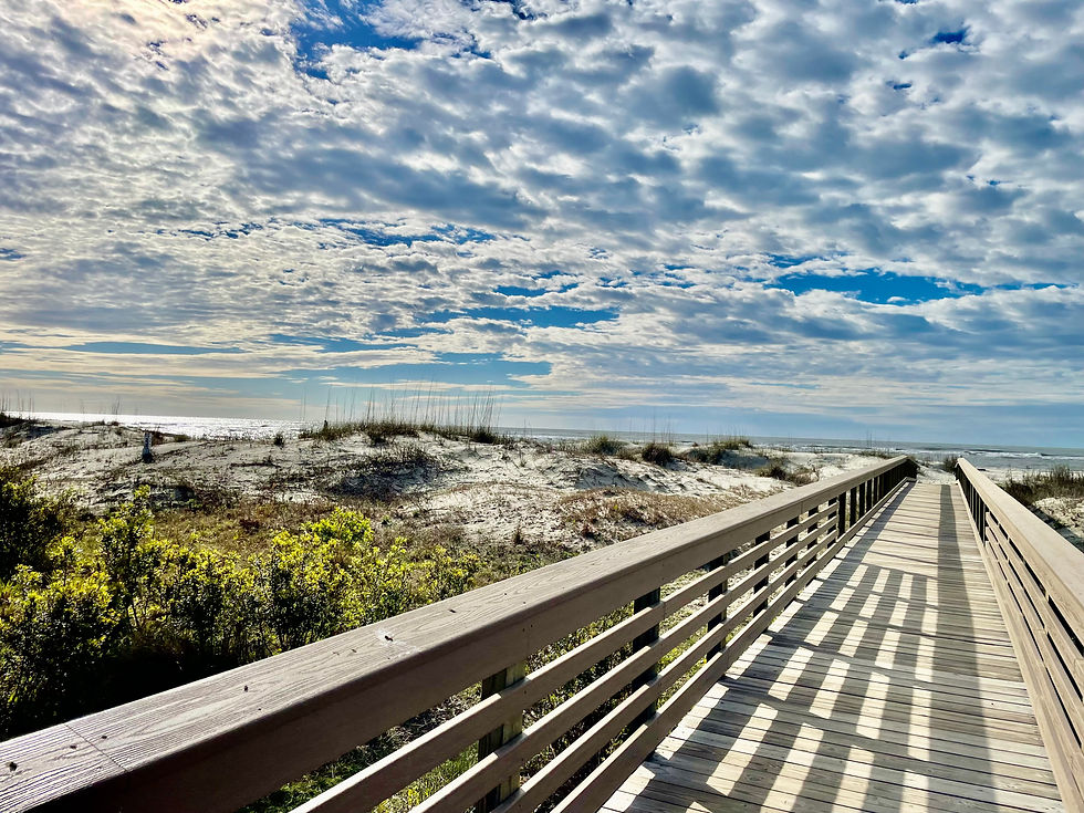 Sullivan's Island Dunes