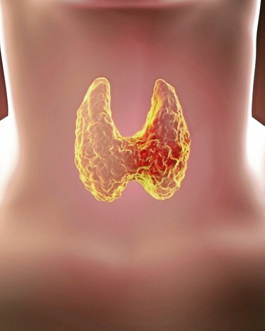 Design sem nome_edited_edited_edited_edi