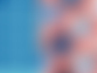 Benvenuti al Bello Club