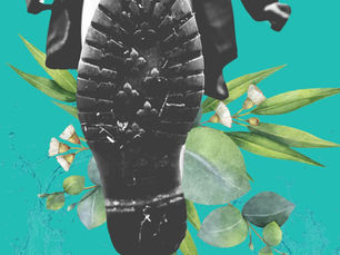 Calculate your Carbon Footprint