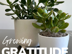 Growing Gratitude