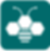 The Buzz Logo_White-02 png