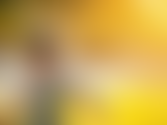 Unleashing the Power of Fun