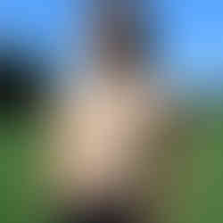 lotus petal top Knitting pattern