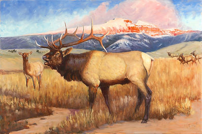 Elk bull and elk cow illuminated in warm light at the base of Sleeping Indian Mountain. Oil painting.