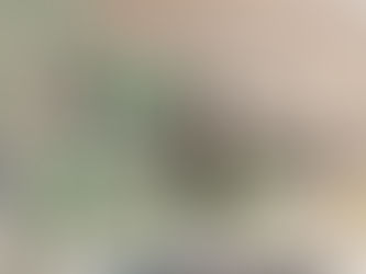 Plan of Pentridge Penal Establishment 1889