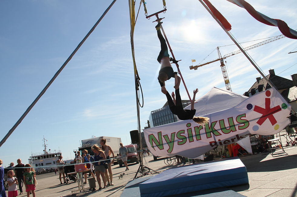 Dissimilisfestivalen 2014