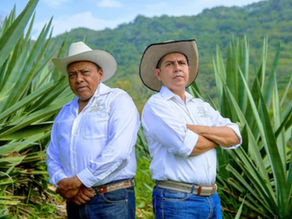 Del occidente mexicano al paladar europeo: la raicilla que conecta mundos