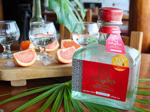 Cómo Degustar la Raicilla de Hacienda El Divisadero.